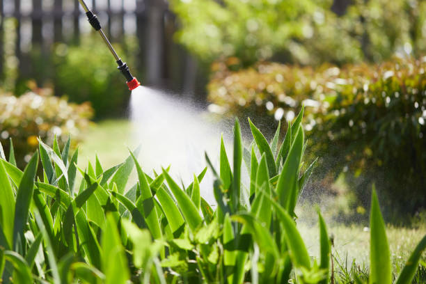 24/7 Emergency Mosquito Control experts in Perry Heights, OH