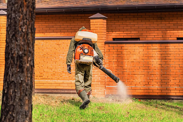 Top rated local Mosquito Control specialists in Perry Heights, OH